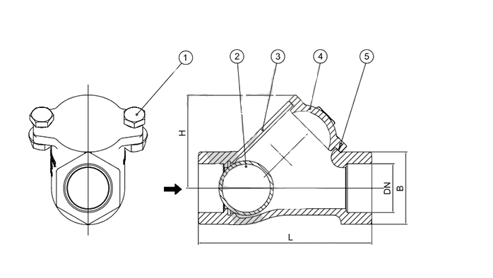 Thread ball check valve